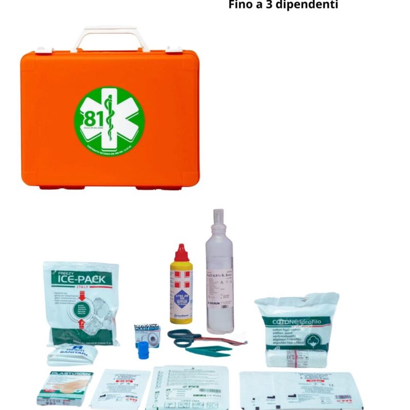 Cassetta medica allegato 2